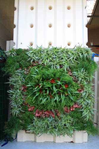 MUR VEGETAL ADAPTE A MURDEAU