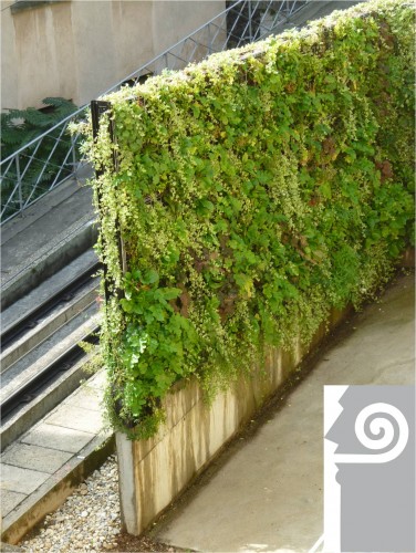 Mur végétalisé antibruit - Lauréat Décibel d'Argent 2011