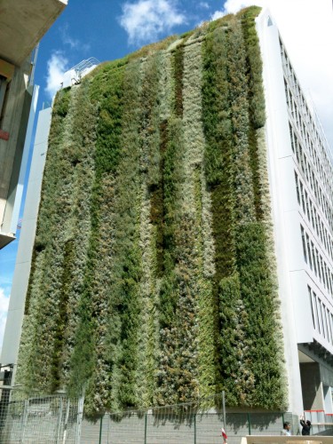 Mur végétalisé aux propriétés thermiques, acoustiques et dépolluantes