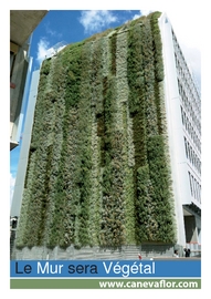 Procédé des murs végétalisés Canevaflor