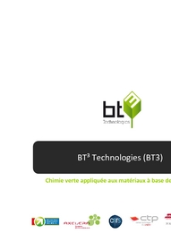 BT3 en 3 slides